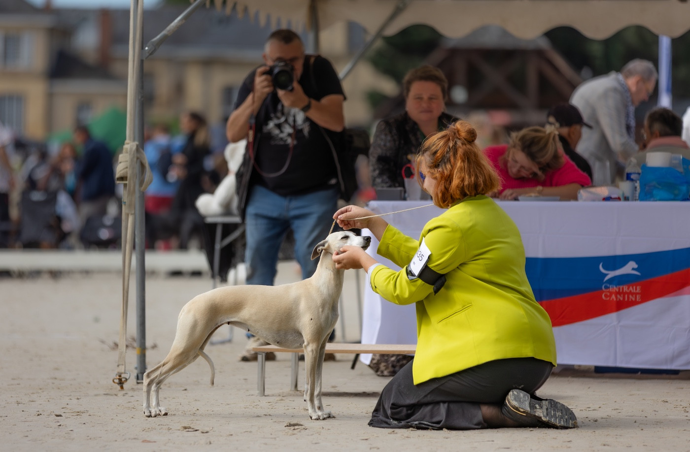 Naissance prévue fin mai 2026