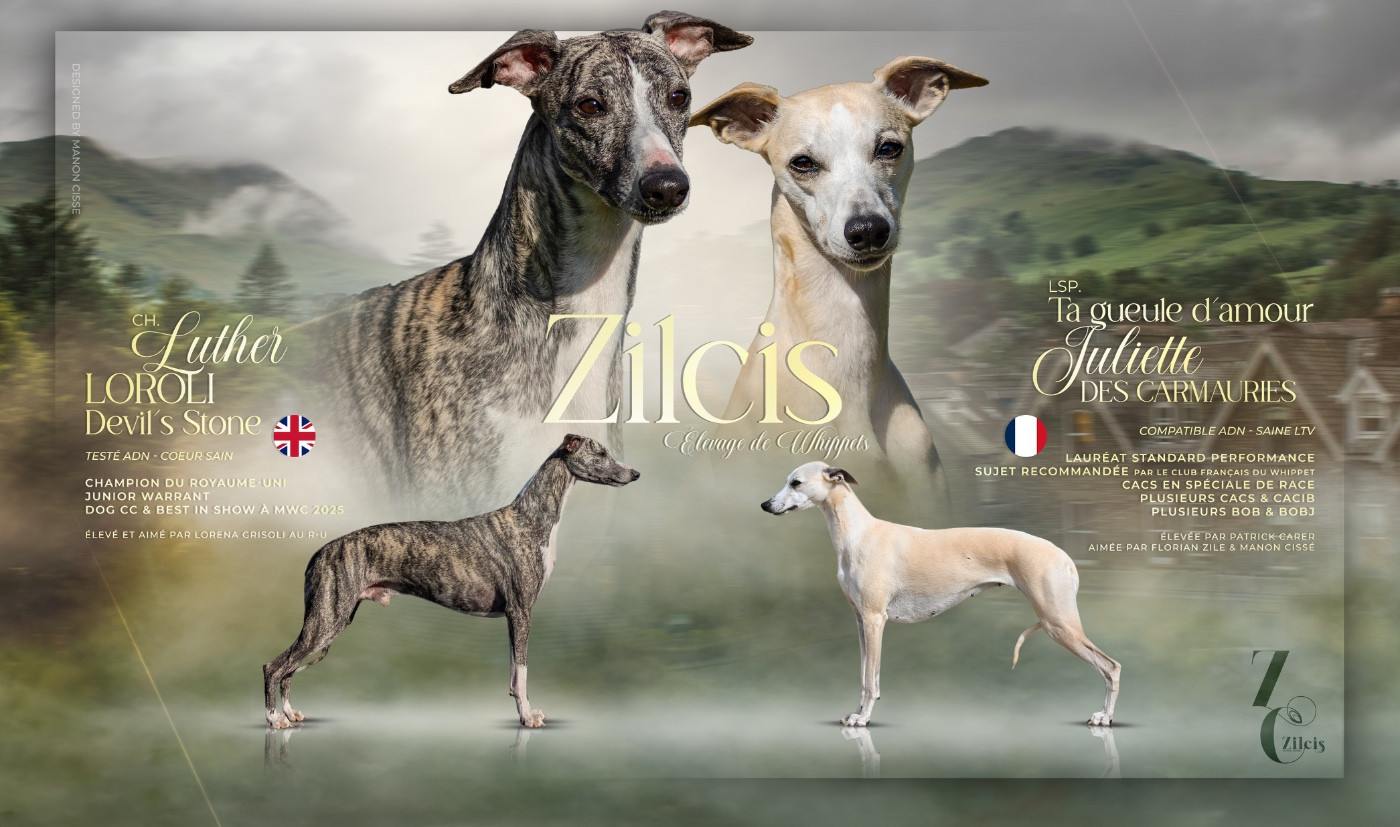 Naissance prévue fin mai 2026